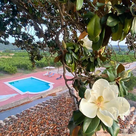 In - Loft Under The Magnolio With A Private Terrace *
