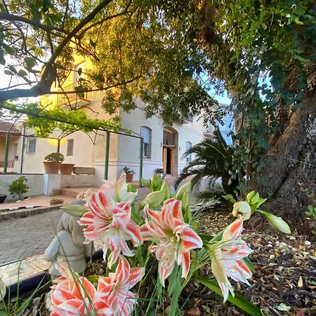 In - Loft Under The Magnolio With A Private Terrace
