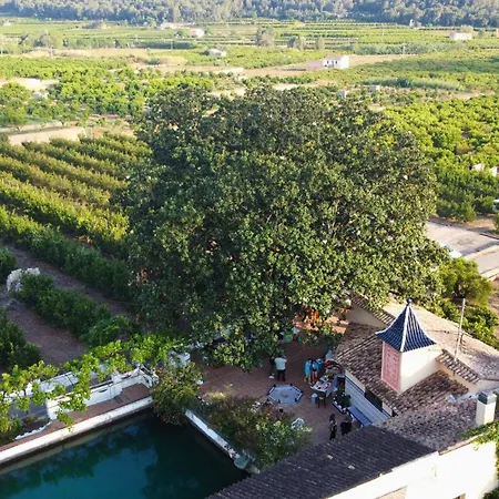 In - Loft Under The Magnolio With A Private Terrace Guest house *