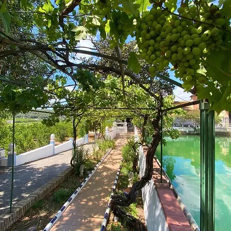 Gasthuis In - Loft Under The Magnolio With A Private Terrace