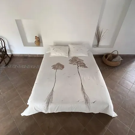 In - Loft Under The Magnolio With A Private Terrace Guest house