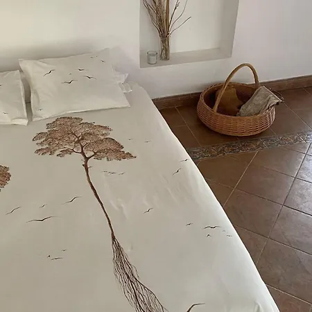 In - Loft Under The Magnolio With A Private Terrace * Alzira
