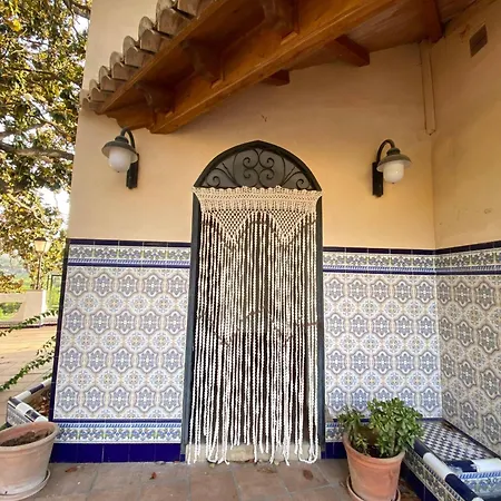 In - Loft Under The Magnolio With A Private Terrace Guest house Alzira