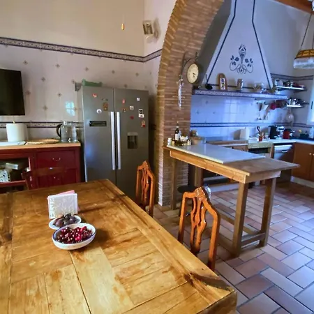 Guest house In - Loft Under The Magnolio With A Private Terrace *