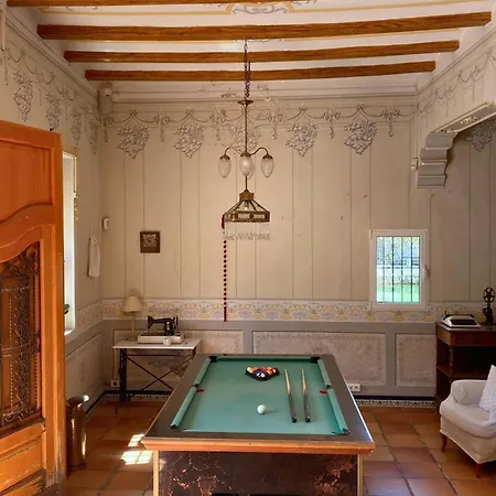 Guest house In - Loft Under The Magnolio With A Private Terrace Alzira