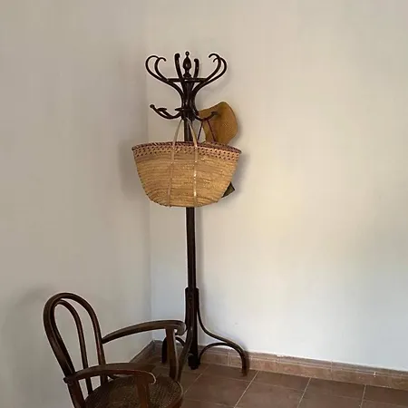 Guest house In - Loft Under The Magnolio With A Private Terrace *